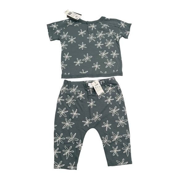 GRAYSON Mini Gray Blue Floral T-Shirt & Pants Set - Size 3-6M - NWT - Picture 1 of 16